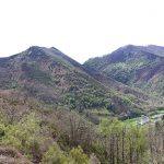 2018_04_29 C.Foto080_stitch