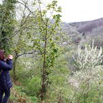 2018_04_29 C.Foto318_stitch