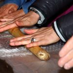 2018_04_30 Posada201