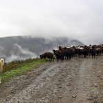 2018_04_30 Posada270