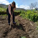de la huerta de julia al plato (44)